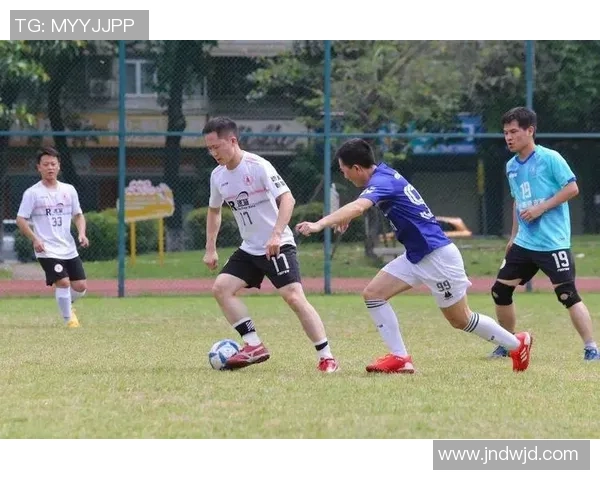 聚焦日本全国足球大赛球星风采与赛场背后精彩故事